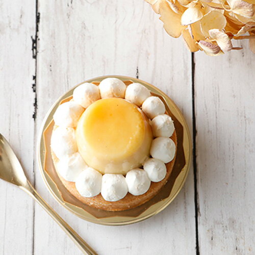 ��GreenCulture����ۥ��������� �ץ�󥿥�� 7cm ����Ԥ ���������� ������ ����ƥ�ե꡼ �����Ի��� ���ָ� �ԥ��˥å�