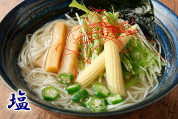 【送料無料】塩ラーメン・池袋ビーガンラーメン 4食セット 動物性不使用スープ 菜食しお味 jn pns gc