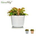 【Greenship】全品送料無料(北海道・沖縄・離島除く)植木鉢 プランター ガーデンニング おしゃれ 軽量 屋内 屋外 環境にやさしい プラスチック 観葉植物 多機能植木鉢 園芸用品 受け皿付き セット 12号 3年保証