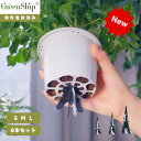 【20倍ポイント 期間限定】Greenship 自動給水器 水やり当番 植物用 給水キャップ 調節可能 留守中の水やり ガーデニング 鉢植え プランター 観葉植...