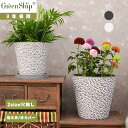 Greenship 植木鉢 プランター おしゃれ 軽量 屋内 屋外 環境にやさしい プラスチック ガーデンニング 観葉植物 多機能植木鉢 園芸用品 鉢カバー 7号 8号 3年保証 全品送料無料(北海道・沖縄・離島除く)