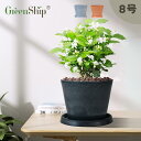 【Greenship】全品送料無料(北海道・沖縄・離島除く) 植木鉢 プランター ガーデンニング おしゃれ 軽量 屋内 屋外 環境にやさしい プラスチック 観葉植物 多機能植木鉢 園芸用品 石材のような質感 受け皿付き 8号 3年保証