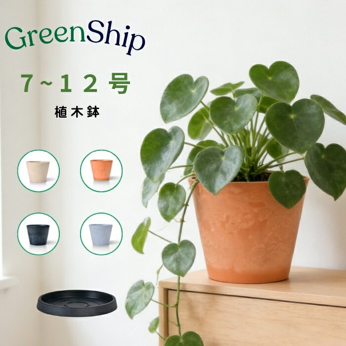 【USED美品】 ジャスパー　グレー　ライトグレー　プランター 楽天市場】ライトグレー（植木鉢｜植木鉢・プランター）：ガーデニング