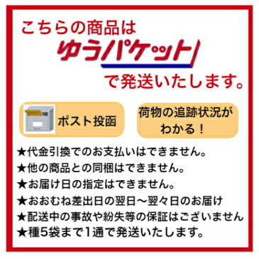 タキイ交配 タマネギ ケルたま 機能性成分ケルセチンが多く長期貯蔵が可能！ 5.5ml入り 家庭菜園 タネ 種