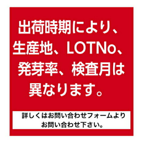 かいわれブロッコリー　35ml入り スプラウト　中原採種場　 おうち時間