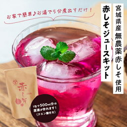 赤しそジュースキット 無農薬 乾燥赤紫蘇1包(12g)クエン酸1包 パケット 送料無料 乾燥 赤紫蘇 赤しそ しそ 紫蘇 農薬不使用 国産