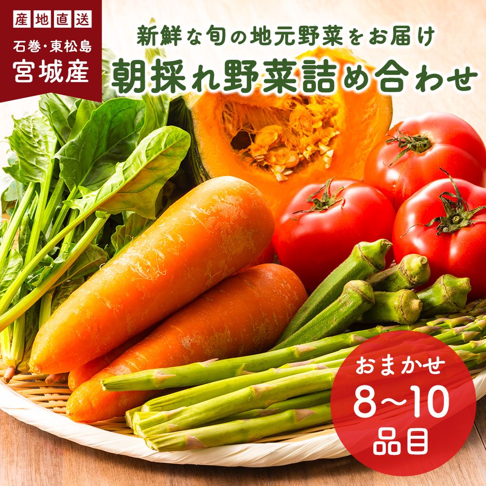 野菜詰め合わせ 旬の野菜 おまかせ8