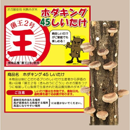 [送料無料]ホダキング 45 しいたけ 菌王2号 プランター ビニール袋付き 家庭菜園 シイタケ 栽 ...