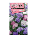 アゲラタム　タイムレスミックス　0.1ml　約100本分　タキイ種苗　花種　　花壇　鉢植　プランター　切り花
