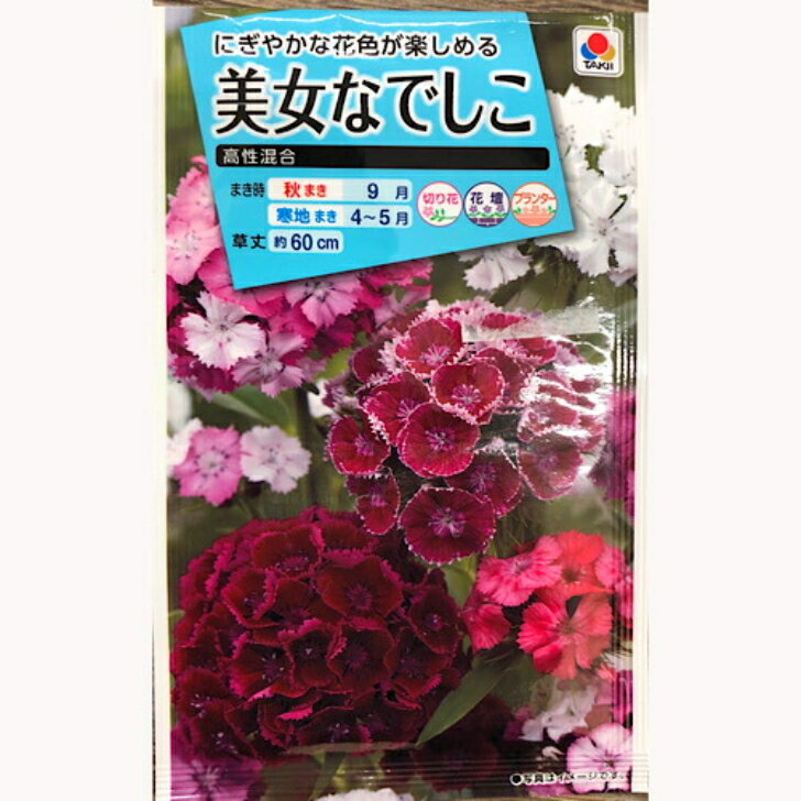 美女なでしこ 高性混合 1.5ml タキイ 花種 切り花 花壇 プランター1袋で約400本＊注意点：寒地以外は秋まき 9月上旬〜9月下旬