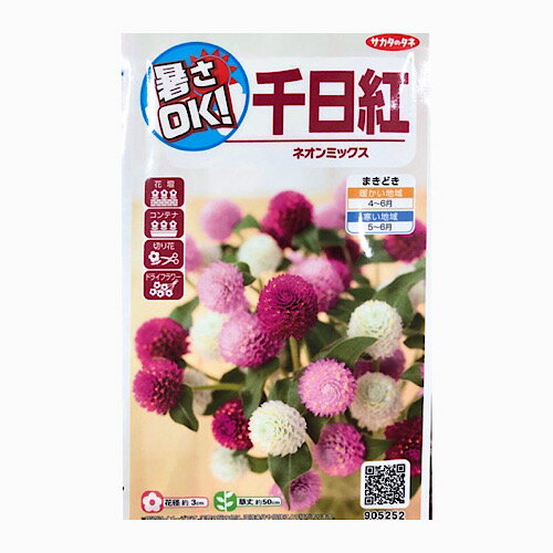 サカタ　千日紅　ネオンミックス　0.5ml（約60粒）　花壇　コンテナ　切り花　ドライフラワー
