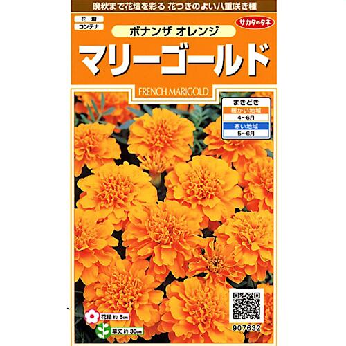 マリーゴールド ボナンザ オレンジ 2ml（約45粒） サカタのタネ 花種 実咲シリーズ 花壇 コンテナ
