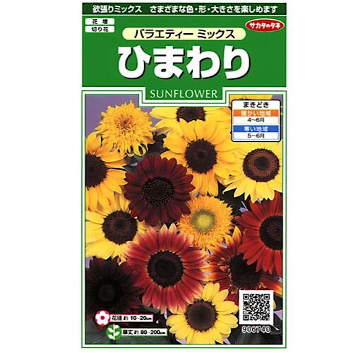 ひまわり　バラエティーミックス　2ml（約20粒）サカタのタネ　花種　花壇　切り花　実咲シリーズ