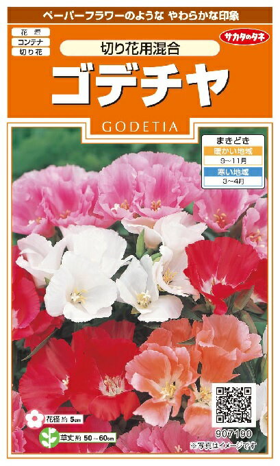 【有効期限2024年10月の為お値下げ320円→220円】ゴデチャ　切花用混合　種子　155粒　 サカタのタネ　コンテナ　花壇