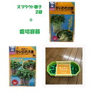 【送料無料】スプラウト栽培セット( かいわれ大根60ml　かいわれ大根ルビー40mlとキッチンファーム大) キッチンサイド 簡単菜園 家庭菜園