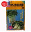 かいわれ大根 スプラウト 1L 1,000ml　中原採種場