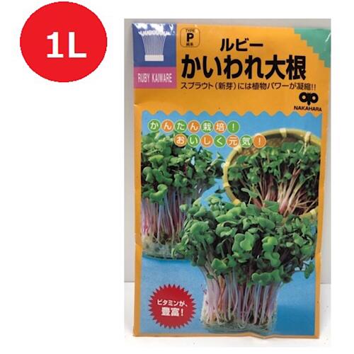 ルビーかいわれ大根　1L入り　中原採種場