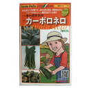 【送料無料】カーボロネロ 40粒 トキタ種苗 グストイタルア イタリア野菜 黒キャベツ　家庭菜園 種 タネ