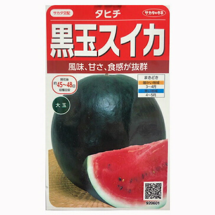 サカタ交配　黒玉スイカ　タヒチ　13粒入り　種　タネ　家庭菜園のサムネイル