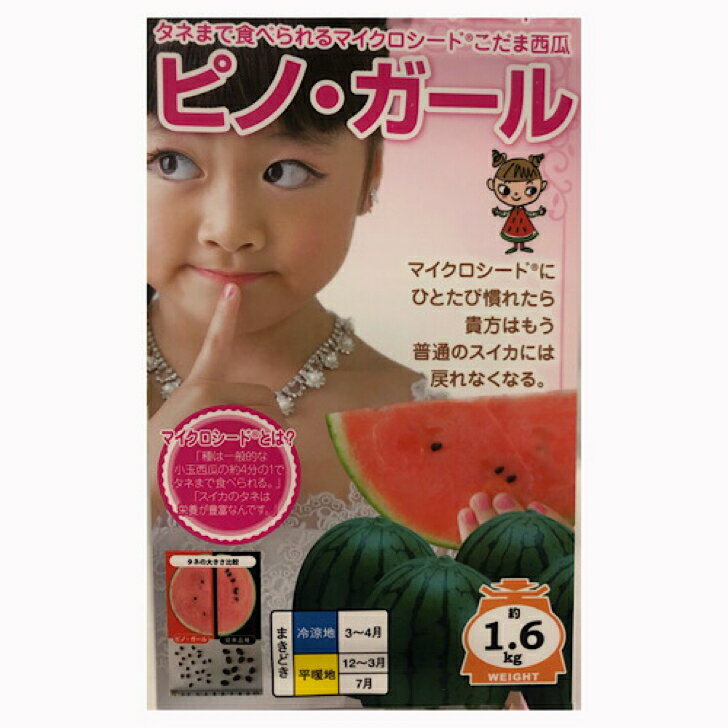 タネまで食べられるこだま西瓜　ナント交配　ピノ・ガール　5粒入り　種　タネ　家庭菜園のサムネイル