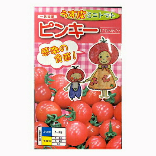 一代交配 うす皮ミニトマト ピンキー 15粒入り