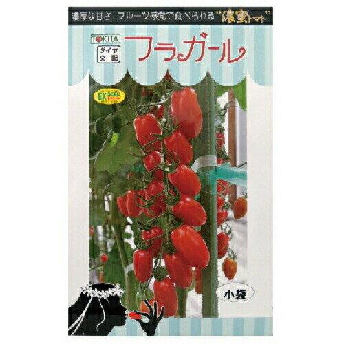 ミニトマト フラガール 8粒 トキタ種苗 家庭菜園種