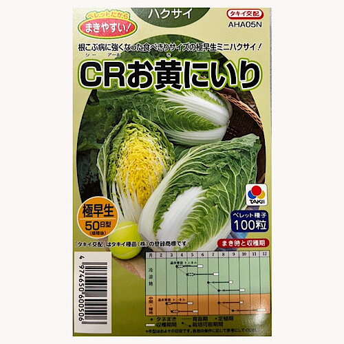 タキイ交配　CRお黄にいり　ペレット100粒　極早生ミニハクサイ　白菜 家庭菜園 タネ 種のサムネイル