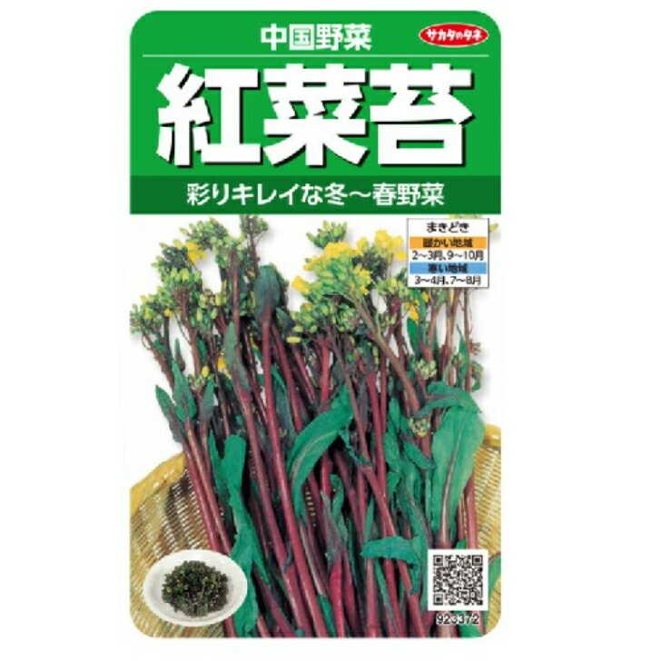 紅菜苔 8ml入り 紫紅色の美しいトウを食べる 家庭菜園 タネ たね 種　サカタのタネのサムネイル