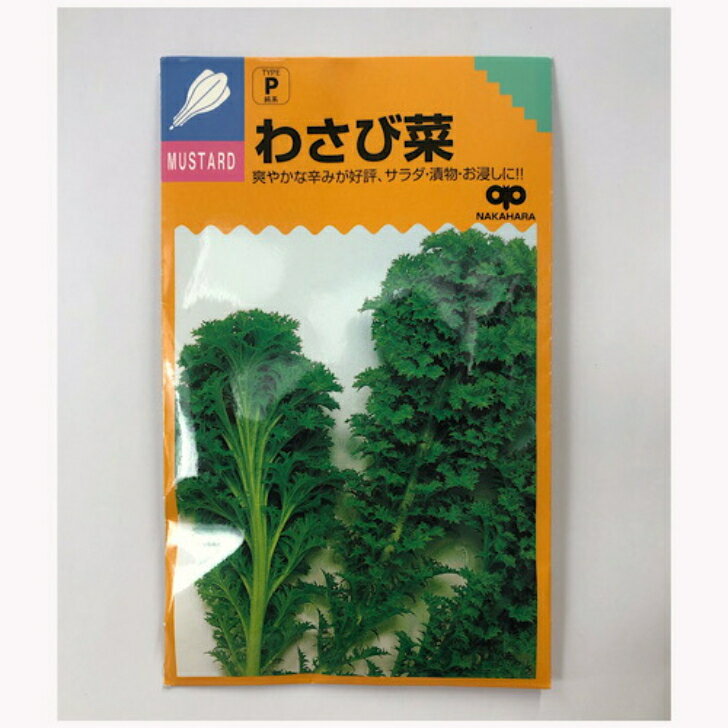 中原採種場 わさび菜 爽やかな辛みが好評 サラダ・漬物・お浸しに 6ml入り 家庭菜園 タネ たね 種