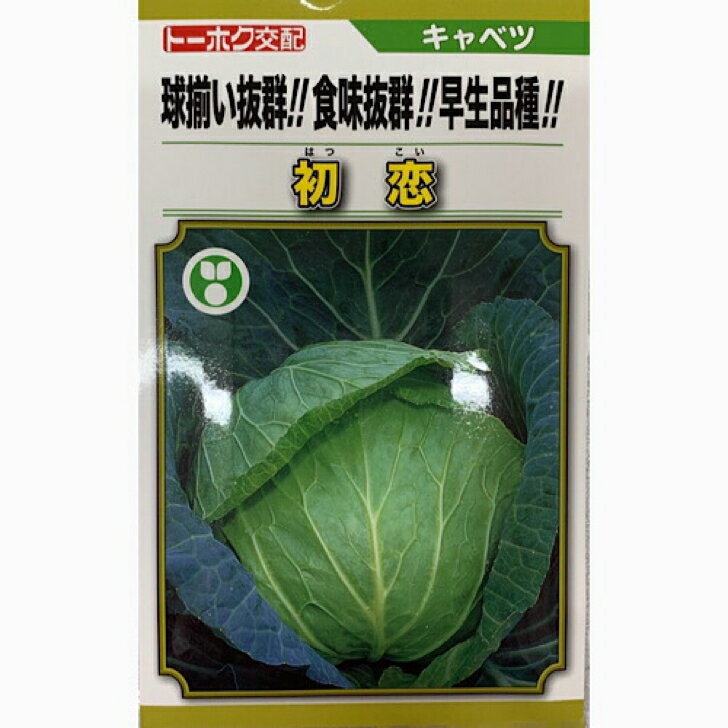 トーホク交配 キャベツ 初恋 1.5ml 家庭菜園 タネ 種のサムネイル