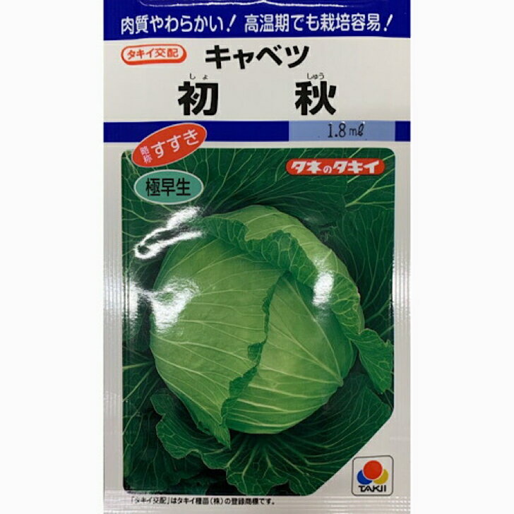 タキイ交配　キャベツ 初秋　1.8ml入り 家庭菜園 種 タネのサムネイル
