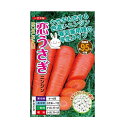 ナント種苗　恋うさぎ ニンジン ペレット種子250粒　　家庭菜園　春・夏まき兼用　根長/17～18cm前後 根重/200g前後