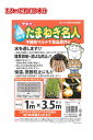 透水マルチ たまねぎ名人 1m×3.5m ( 苗約100本分 )タキイ マルチ 農業用マルチ 農業マルチ シート マルチシート タマネギ 玉ねぎ たまねぎ 玉ネ...