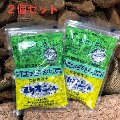 2個セット ブロックシリコ ミリオンA 100g 珪酸塩白土 送料無料 お買い得ゆうパケットで発送 ハイドロカルチャー