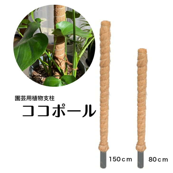園芸用植物支柱　ココポール　80cm 150cm　ココヤシつる性植物　支柱　おしゃれ　インテリア　観葉植物　植物サポート　まく　モンステラ　ポトス　アイビー