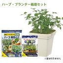 【送料無料】ハーブ栽培セット(ハーブl香草の土5L・ハーブ香草の肥料　400g　ハーブプランター　25型) 　 簡単菜園 家庭菜園　ハーブ　野菜　種子　種　ガーデニング