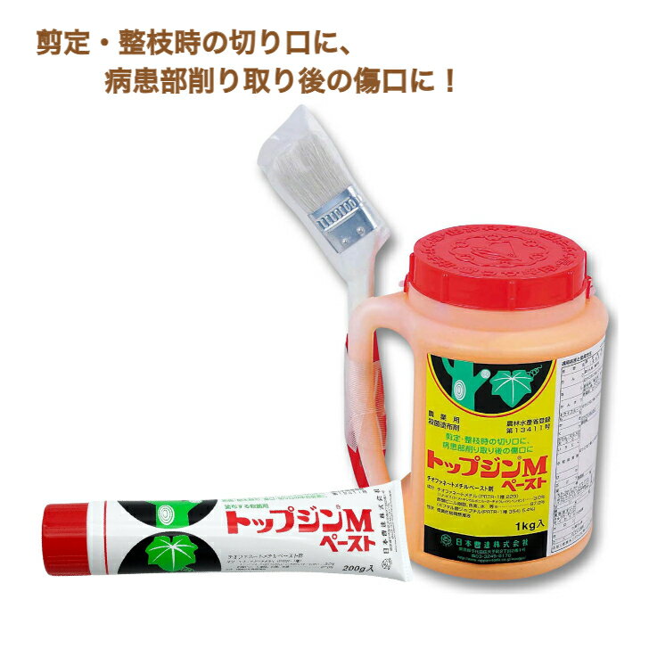 トップジンMペースト 200g 1kg メロン きゅうり すいかのつる枯病防除に果樹 樹木類 傷口 切り口のゆ合促進に チオファネートメチルペースト剤殺菌剤 家庭菜園 病気 農薬 薬剤 畑 農業資材 園芸用品 園芸資材 農業