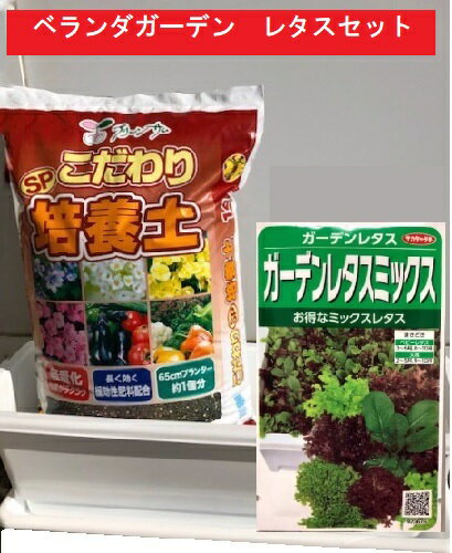 おうちで野菜作り 「ベランダガーデンセットレタス」　プランターと培養土とお好きな種を選ぶセットで..