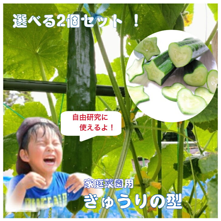 [送料無料 選べる2個セット]キュウリの型 (ハート クローバー 星 くま)家庭菜園 お弁当 作成キット きゅうりのデコ デコきゅうり きゅうり キャラ弁 遠足 ピクニック 自由研究 デコきゅう きゅうりの型 型抜き ぬき型 抜き型 抜型のサムネイル
