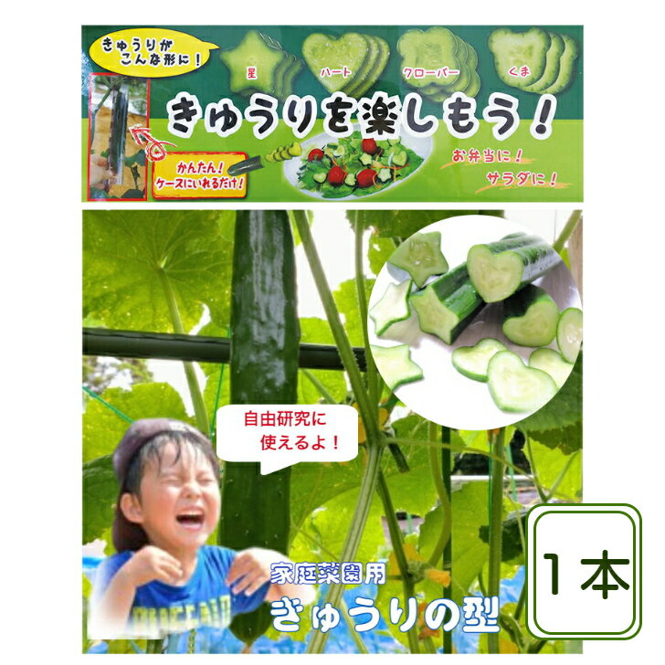 きゅうりの型 作成キット 星/ハート/クローバー/くま 家庭菜園 お弁当 サラダ きゅうりのデコお買い得 デコきゅう きゅうりの型 キュウリの型 型抜き ぬき型 弁当 料理型 自由研究 抜き型 抜型