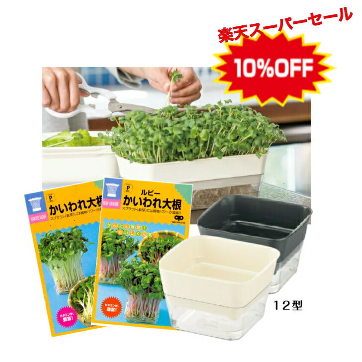 お買い物マラソン特価！！　　【送料無料】かいわれ大根紅白セット　栽培セット(かいわれ大根60ml・ルビーカイワレ大根30ml　スプラウトファーム12型アイボリー・ダークグレー) キッチンサイド 簡単菜園 家庭菜園　スプラウト　豆苗　野菜　種子　種　ガーデニングのサムネイル