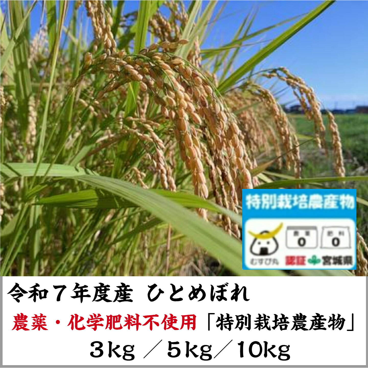 【新米 ひとめぼれ】