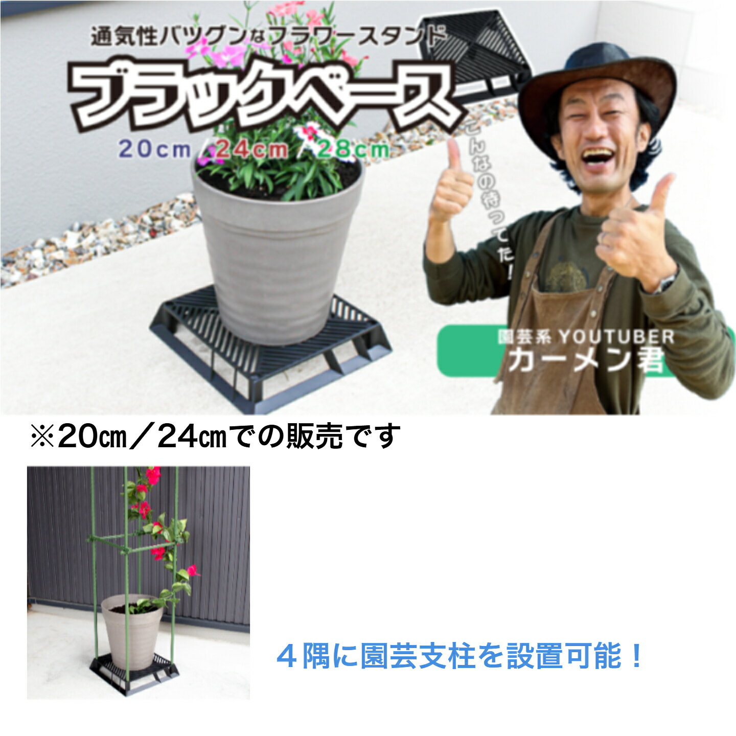 【在庫限り／SALE】まとめ買いがお得！カーメン君コラボ商品！ブラックベース　20センチ　24センチ