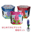 入荷しました!当店人気商品!はじめてのヒ