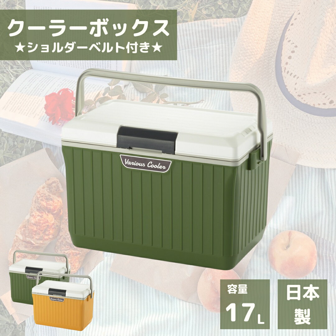 P3倍【着後レビュ－特典対象】【あす楽】 SANKA べリアス クーラー 17L VAC-17 WH/GR 【送料無料 クーラーボックス コンパクト 小型 アウトドア キャンプ テント 釣り BBQ 保冷 ボックス 小さめ ペットボトル スポーツ 運動会 部活 車載 車中泊 グリーン おしゃれ 日本製】