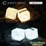 ڹʡ ɥݡ ꡼ 饤 ֥饤 MEDIUM ꡼ LED  ޤ 顼 󥿥 ߥǥ Landport CARRY THE SUN  顼饤  ե ץ쥼 Ū ְʳ