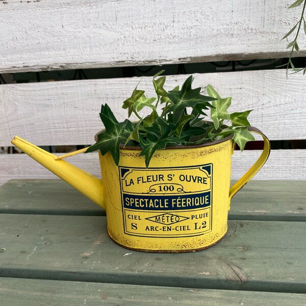 【送料無料】ブリキ ジョーロ イエロー（MH845）プラカップ付プランター /カントリー雑貨・ガーデニング・鉢・ジャンクガーデン・多肉植物・花・寄せ植え・観葉植物・サボテン・ギフト/プレゼントのサムネイル