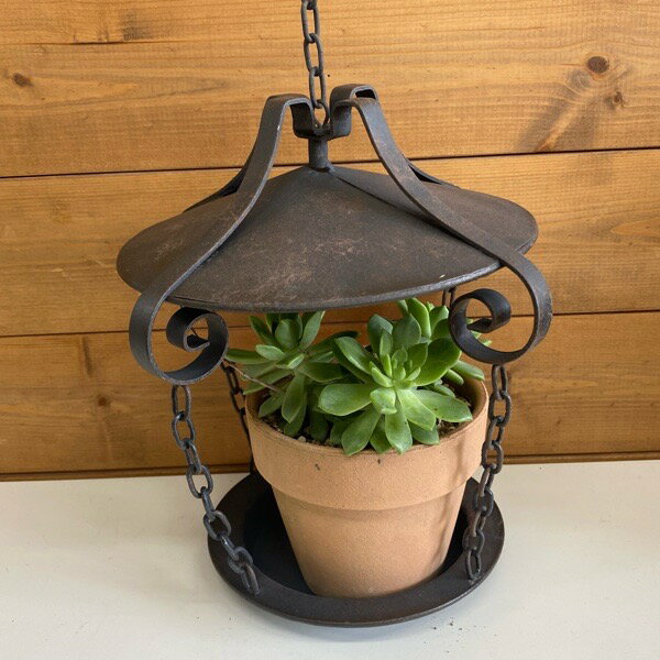ブリキ ランサナムハング　ブラウン（UN1734）壁掛け /カントリー雑貨・ガーデニング・花台・プランター台・鉢・ジャンクガーデン・多肉植物・花・寄せ植え・観葉植物・サボテン/おしゃれのサムネイル