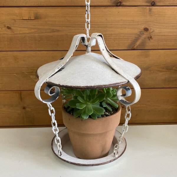 ブリキ ランサナムハング　ホワイト（UN1732）壁掛け /カントリー雑貨・ガーデニング・花台・プランター台・鉢・ジャンクガーデン・多肉植物・花・寄せ植え・観葉植物・サボテン/おしゃれのサムネイル