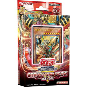 遊戯王 OCG デュエルモンスターズ ストラクチャーデッキR 炎王の急襲 トレーディングカードゲーム